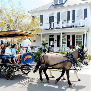 Daytime Horse-Drawn Carriage Sightseeing Tour of Historic Charleston 1