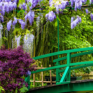 Palacio de Versalles y Casa de Monet en Giverny Visita guiada con almuerzo desde París 8