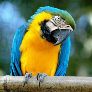 Bioparco di Roma: Biglietto aperto 1