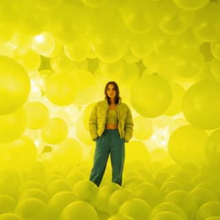 The Dream Rooms: un'esperienza da sogno attraverso più mondi di piscine a palline - Lista d'attesa 5