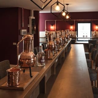 Tribe Gin School Experience in Galway 1