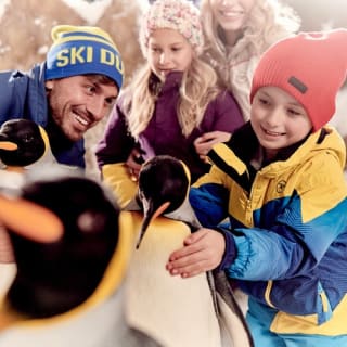 Ski Dubai: access 2 ore o giornata intera 3