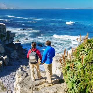 From Cape Town: Full Day Guided Hermanus Explorer Tour 2