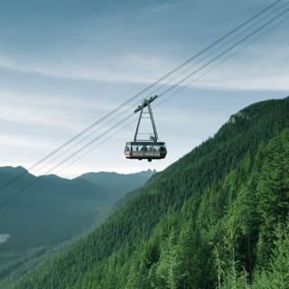 Grouse Mountain: General Admission 3