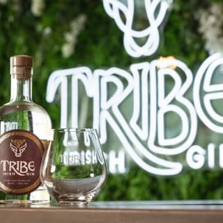 Tribe Gin School Experience in Galway 2