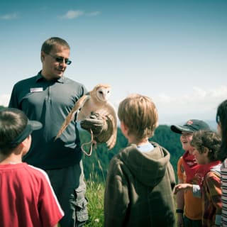 Grouse Mountain: General Admission 4