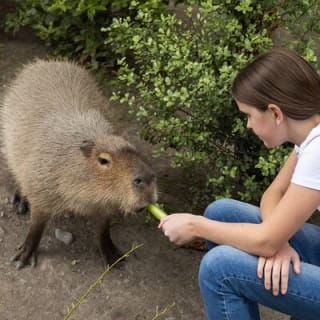 Willowbank Wildlife Reserve Day Entry 7