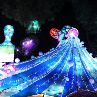 Admission Ticket Dubai Garden Glow 2