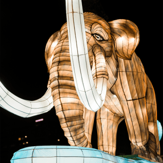 Autumn Glow Festival (Geneva, OH) 4