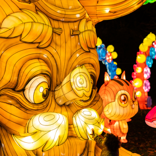 Autumn Glow Festival (Geneva, OH) 5
