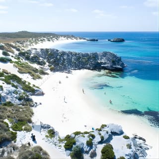 Discover Rottnest with Ferry & Bus Tour 3