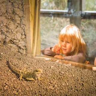 Willowbank Wildlife Reserve Day Entry 12