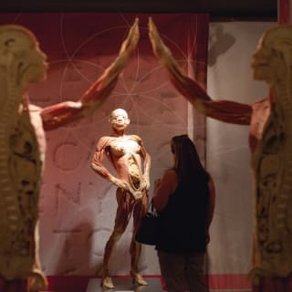 REAL BODIES at Bally’s Hotel & Casino 2