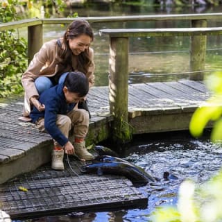 Willowbank Wildlife Reserve Day Entry 14