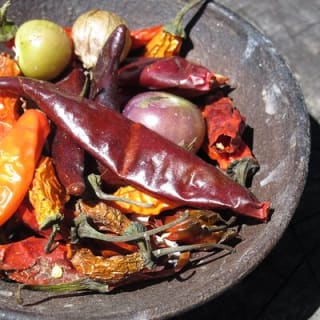 Impara a fare il mole nel vero stile messicano prima di pranzo 10
