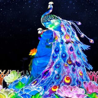 Admission Ticket Dubai Garden Glow 7