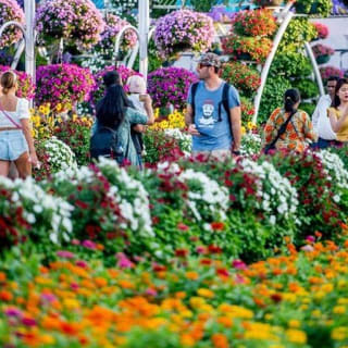 Miracle Garden and Global Village COMBO tour with round trip transfers 5