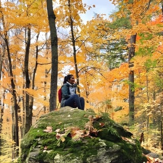 Algonquin Park Tour with Hiking and Swimming 4