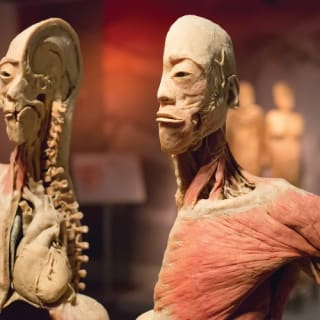 REAL BODIES at Bally’s Hotel & Casino 4