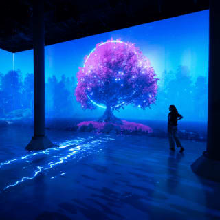 SUBMERGE 6