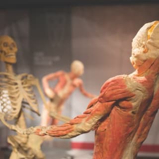 REAL BODIES at Bally’s Hotel & Casino 3