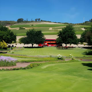 Wine Tour: Paarl, Franschhoek & Stellenbosch incl 3 wineries 15