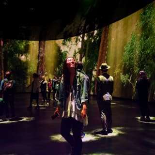 American Museum of Natural History (AMNH): Plus One Ticket 1