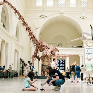 Field Museum of Natural History Early Access Ticket 4