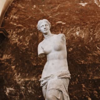 Entrée coupe-file pour le Musée du Louvre et visite guidée privée 4