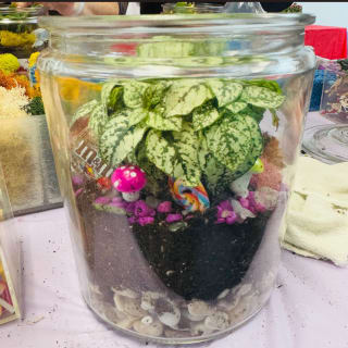 Closed Ecosystem Terrarium 3