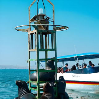 Full Day Lima Paracas & Tour de Adrenalina en Huacachina 4