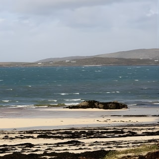 From Galway: Guided tour of Connemara with 3 hour stop at Connemara National Pk. 10