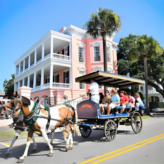Daytime Horse-Drawn Carriage Sightseeing Tour of Historic Charleston 2