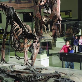 Field Museum of Natural History Early Access Ticket 8