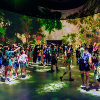 American Museum of Natural History (AMNH): Plus One Ticket 2