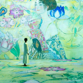 Gustav Klimt: Timeless Beauty 5