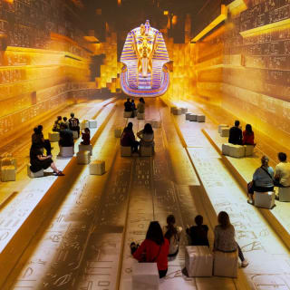 Tutankhamun: The Immersive Exhibition 7