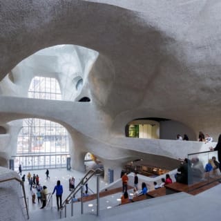 American Museum of Natural History (AMNH): Plus One Ticket 4