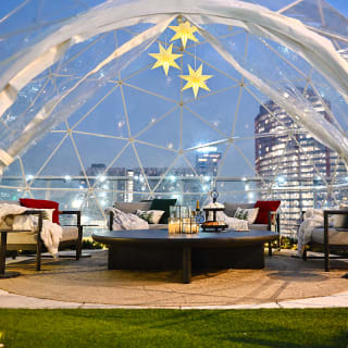 Private Igloo Experience Downtown Houston 1