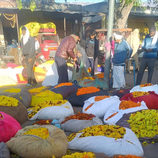 Jaipur Walking Tour 14