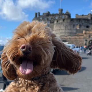 Edinburgh Royal Mile - Interactive Treasure Hunt & Exploration Game for up to 5 9