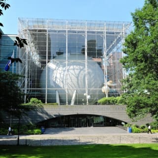 American Museum of Natural History (AMNH): Plus One Ticket 13