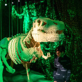 The Art of the Brick : Exposition d'art en LEGO® - Carte-cadeau 3