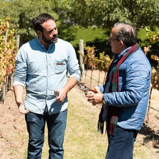 Visita a bodegas con cata y tour por Bernal 4