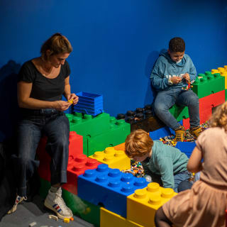 The Art of the Brick : Exposition d'art en LEGO® - Carte-cadeau 4