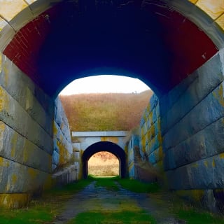 Private Island Fort Tour in Casco Bay: Boat Cruise & Island Tour 4