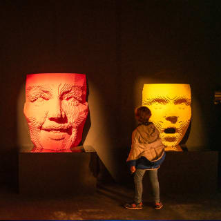 The Art of the Brick : Exposition d'art en LEGO® - Carte-cadeau 6
