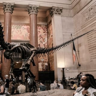 American Museum of Natural History (AMNH): Plus One Ticket 15
