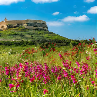 Discover GOZO, Comino, the BLUE LAGOON & Caves 14
