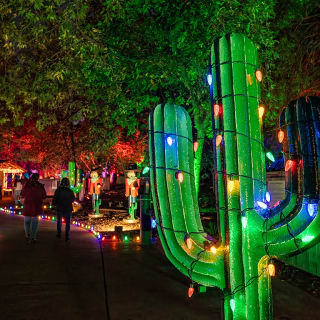 Christmas in the Garden at Fort Worth Botanic Garden - Gift Card 2